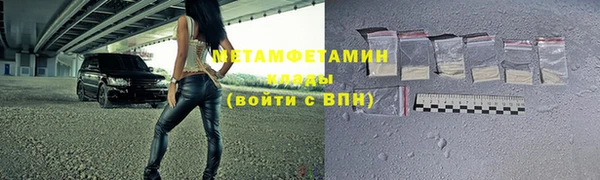 ПСИЛОЦИБИНОВЫЕ ГРИБЫ Богданович